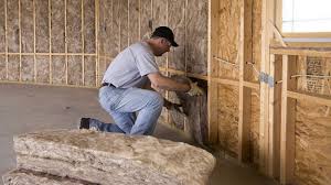 Best Wall Insulation Installation  in Rushvle, IL