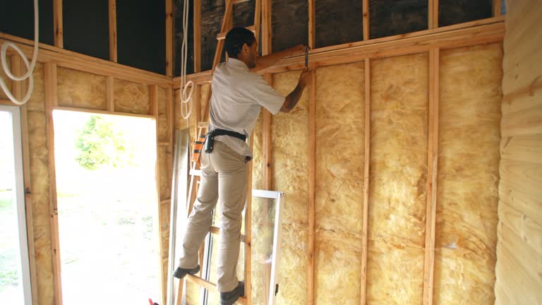 Best Fireproof Insulation  in Rushvle, IL